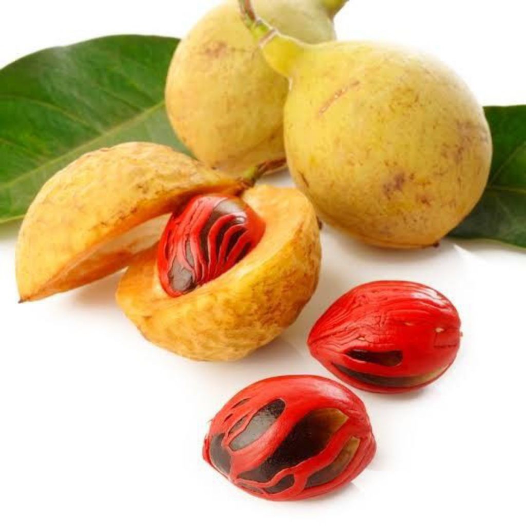 

BUAH PALA SEGAR 1 KG