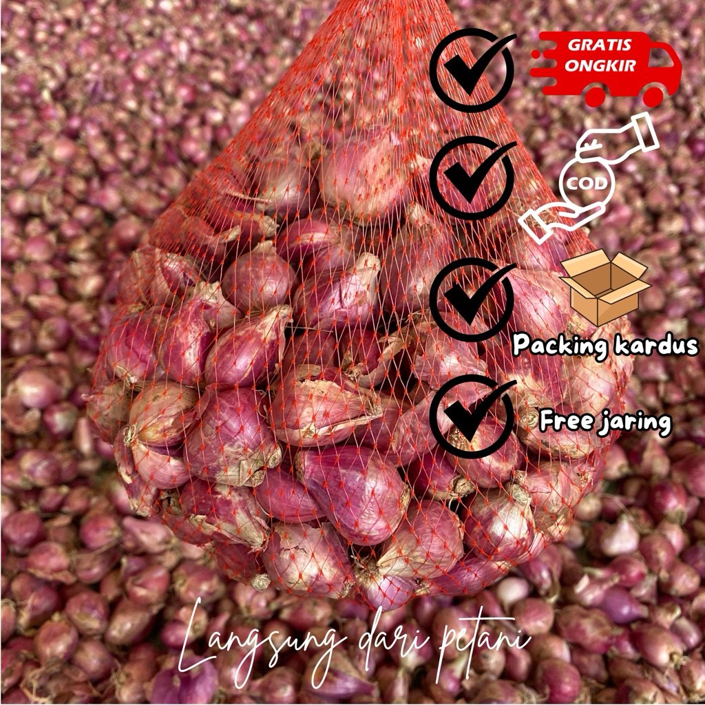 

Bawang Merah 1 kg Brambang Kering Ukuran Tanggung Besar Langsung dari Petani Lokal Kualitas Super untuk Bahan Masakan