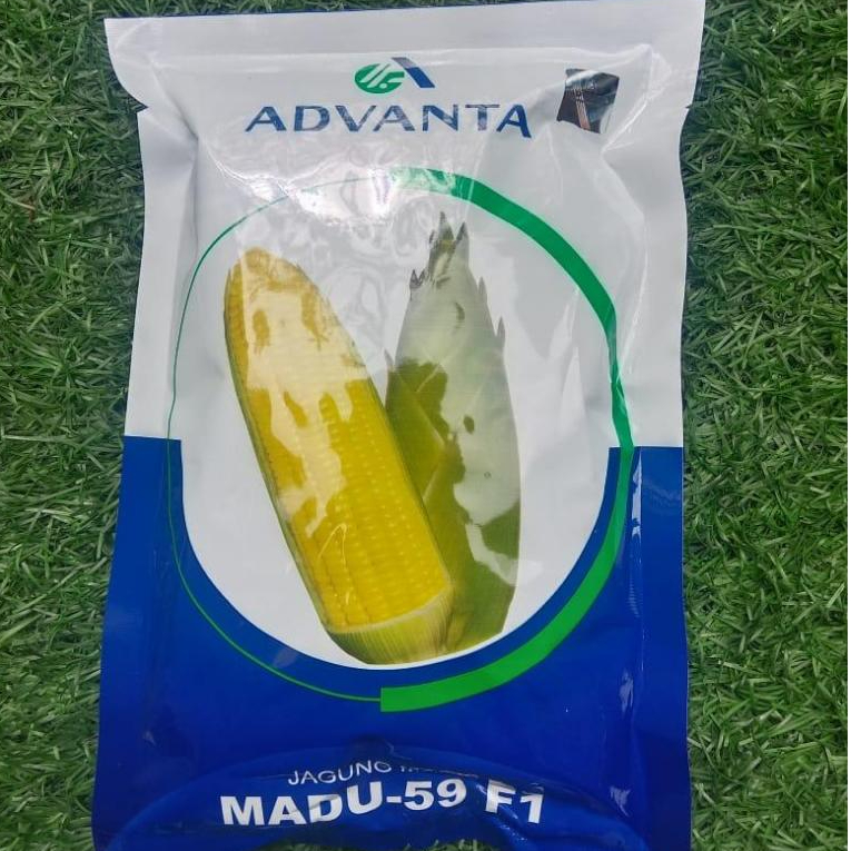 PROMO 5 PCS Benih Jagung Manis Madu - 59 F1 250g Advanta Seeds / Bibit Jagung Si Madu Yang Bagus