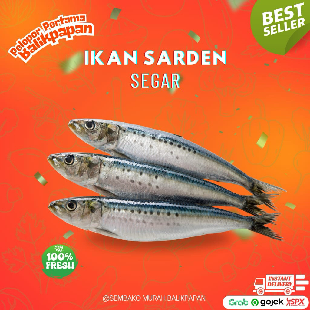 

ikan sarden segar 1kg