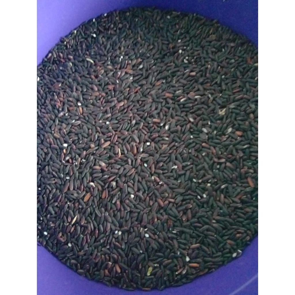 

ketan hitam super kemasan 1 kg