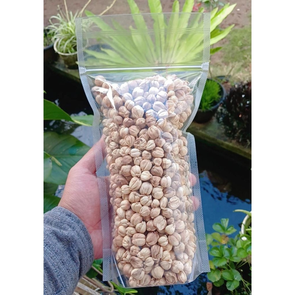 

[1KG] KAPULOGO / REMPAH KAPULAGA KERING BERSIH