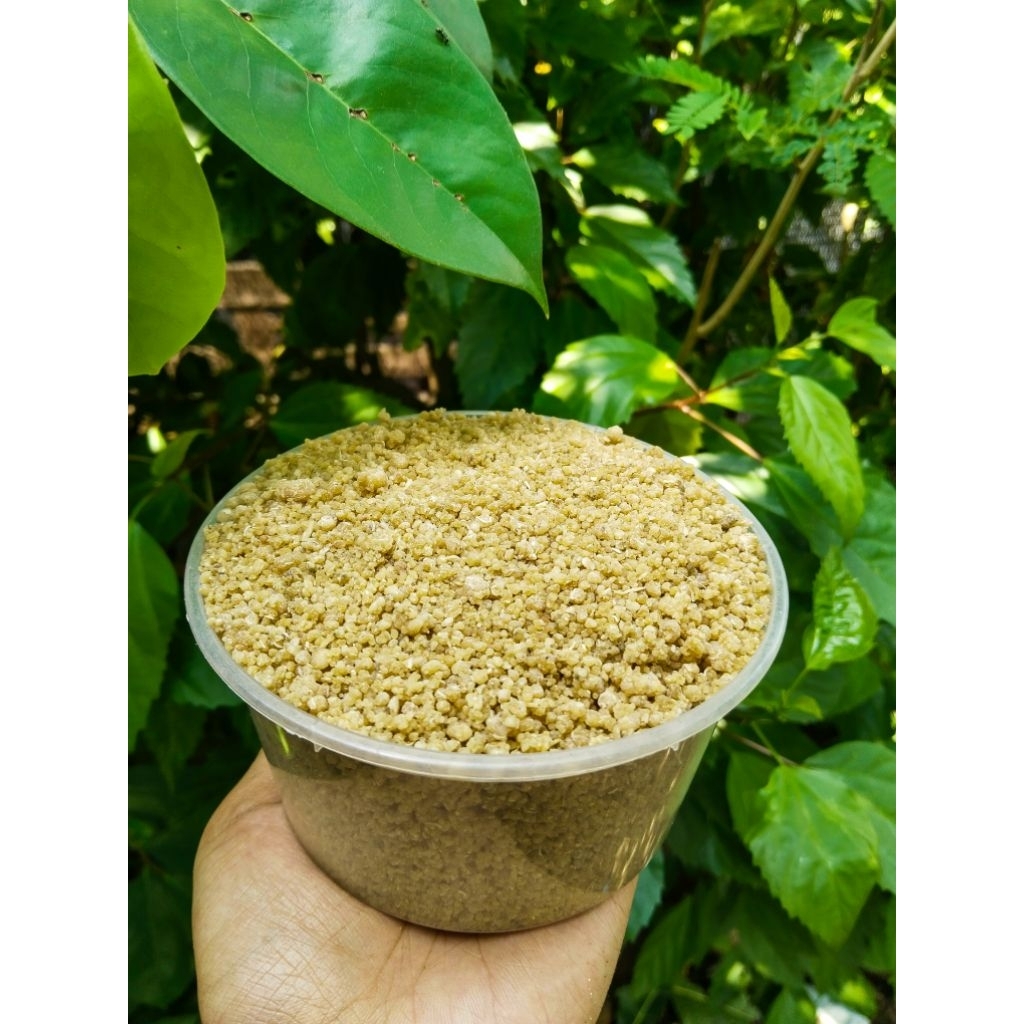 

[GRADE A SUPER] TIWUL INSTAN/TIWUL SINGKONG/OYEK MAKANAN POKOK PENGGANTI NASI