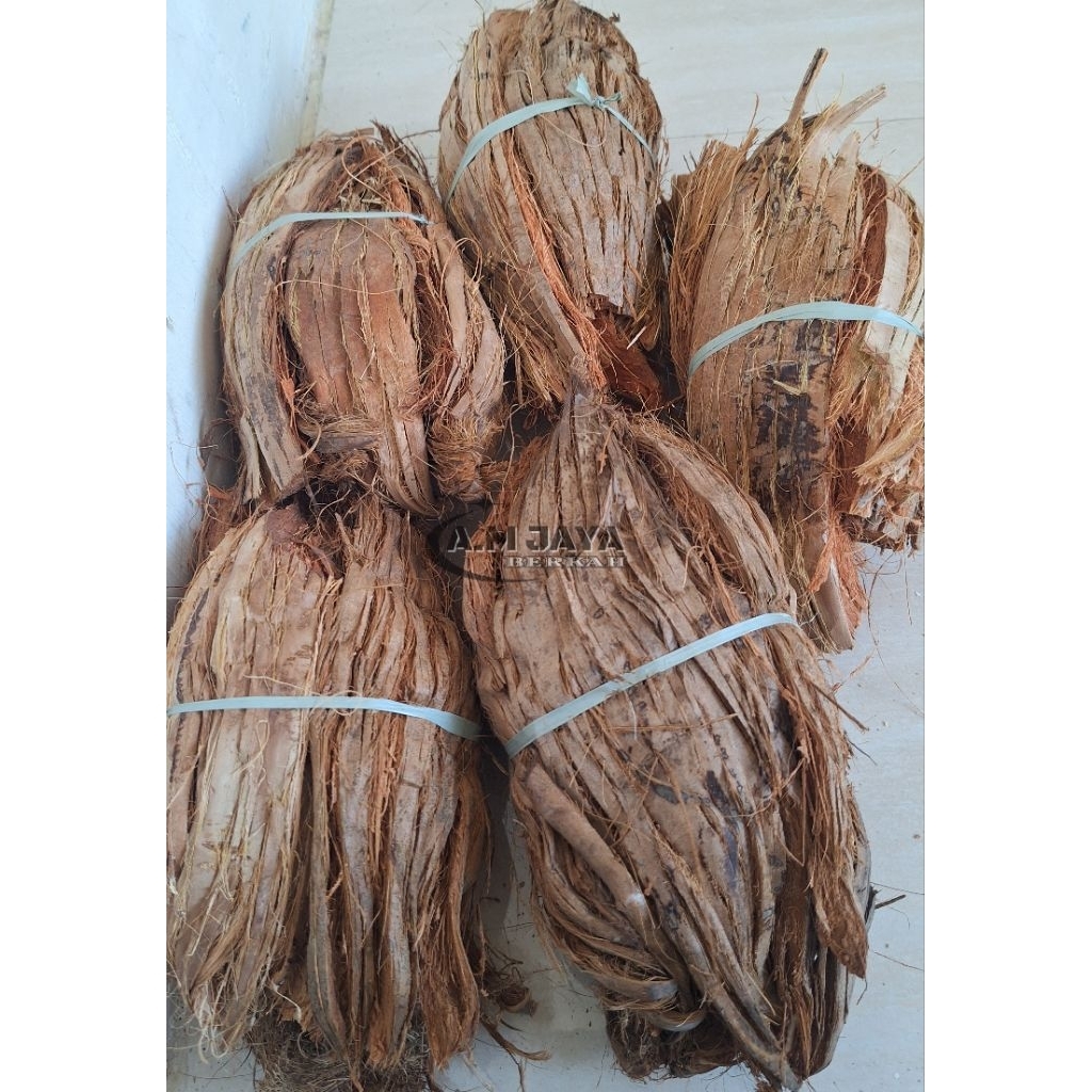 SABUT KELAPA KERING (SERABUK KELAPA) MEDIA TANAM