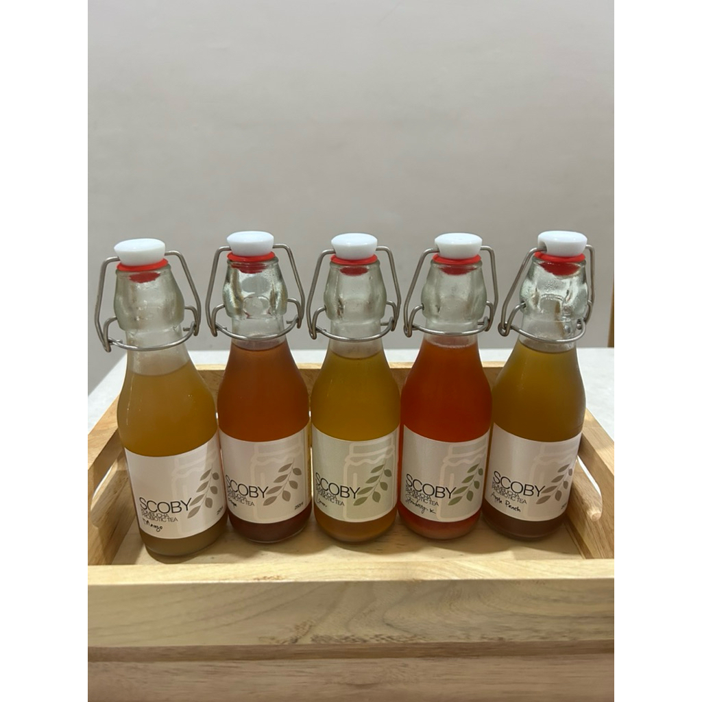 

SCOBY Beli 5 Mix Varian 250ml