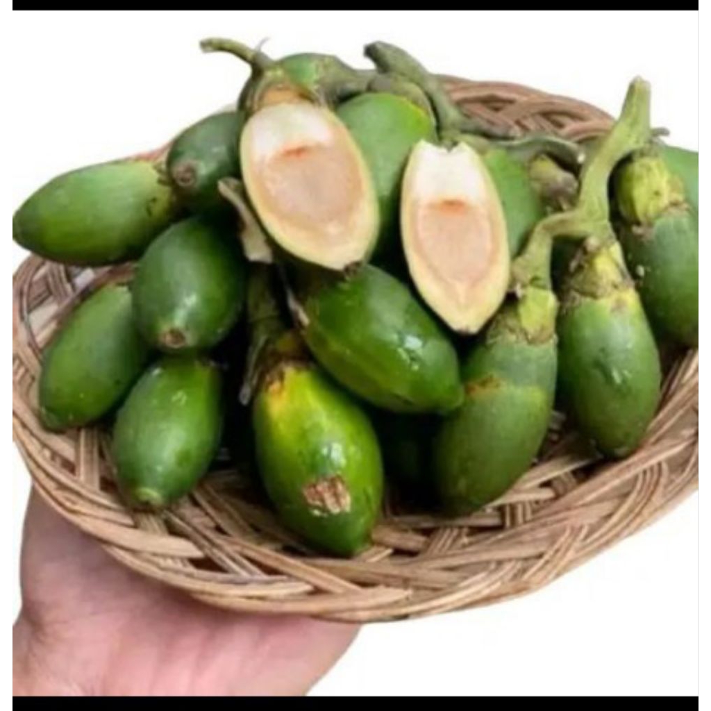 

500gram Buah Pinang Muda Segar Asli Fresh