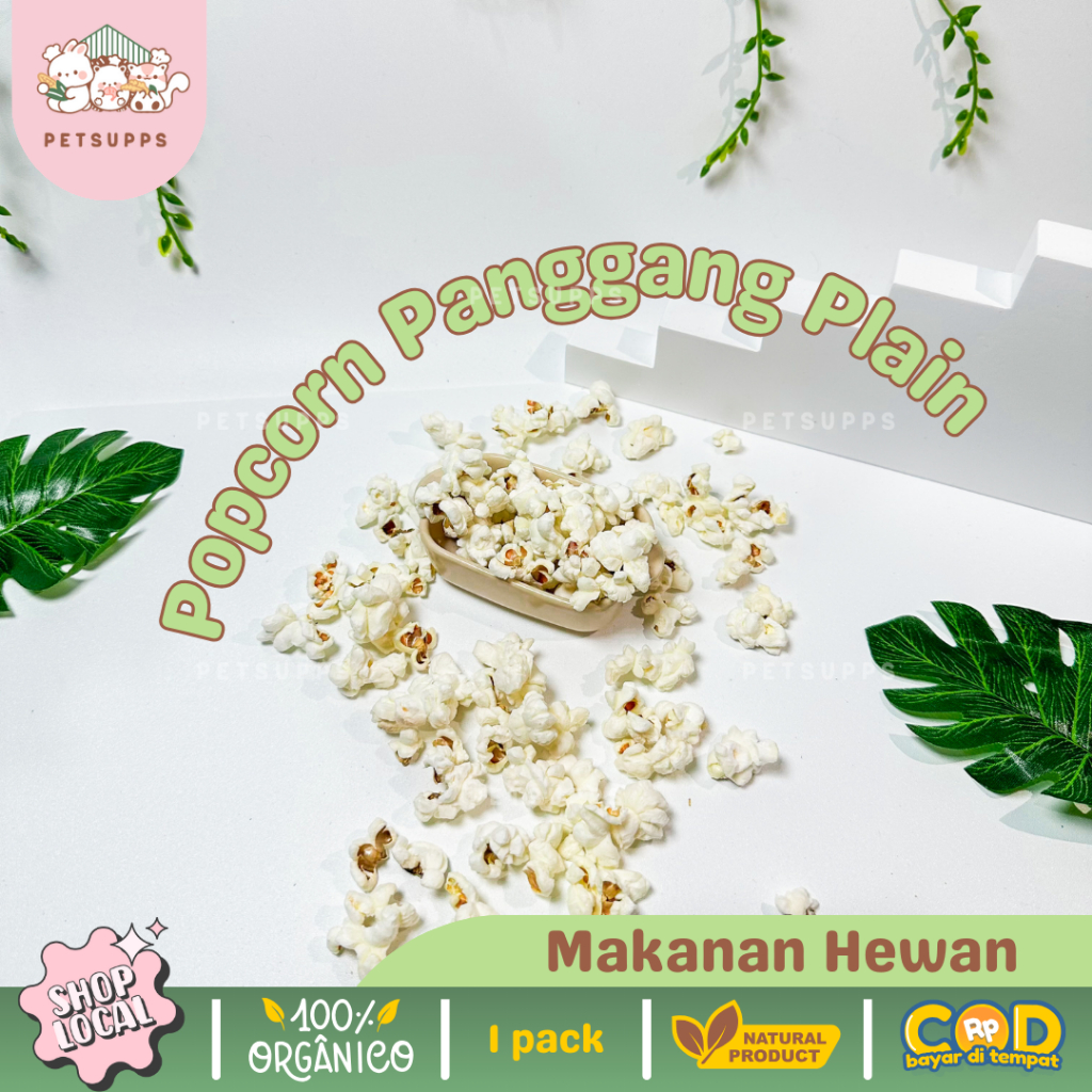 Snack hamster | plain popcorn | makanan hamster | original brondong jagung tanpa perasa | sangrai
