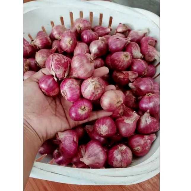 

Bawang Merah Super (500gr Dam 1000gr) Ba