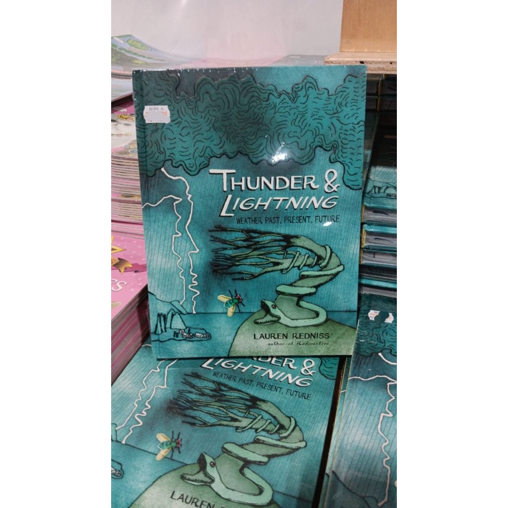 Buku Anak Import Hardcover Thunder & Lightning
