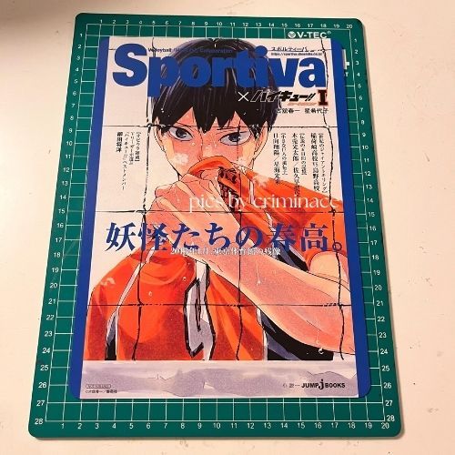 Haikyuu Visual Board Kageyama Tsukishima Ushijima