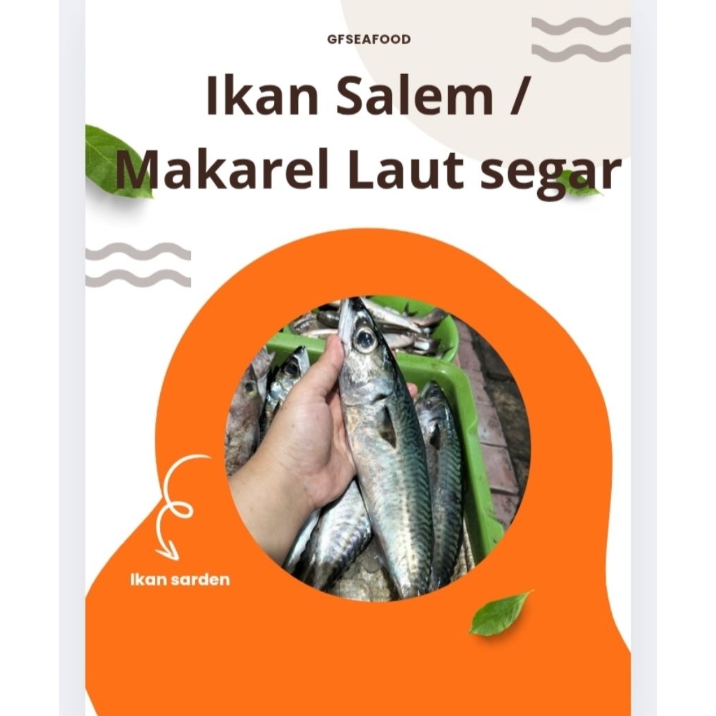 

Ikan Salem / Makarel / Ikan laut 1000g