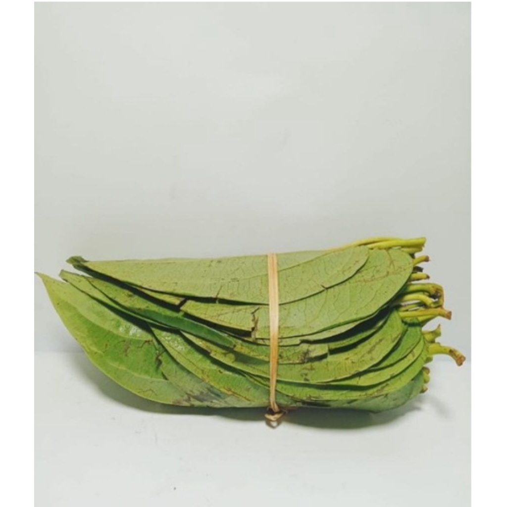 

siri 1kepit, sirih Karo