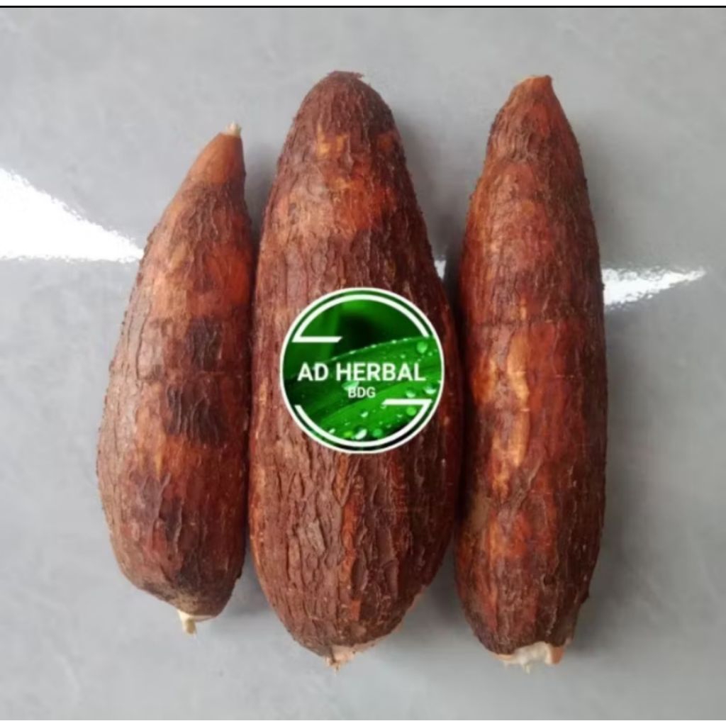 

PROMO!! Singkong Racun Sapi Kuru /Singkong Genderewo Fres 1Kg Anti