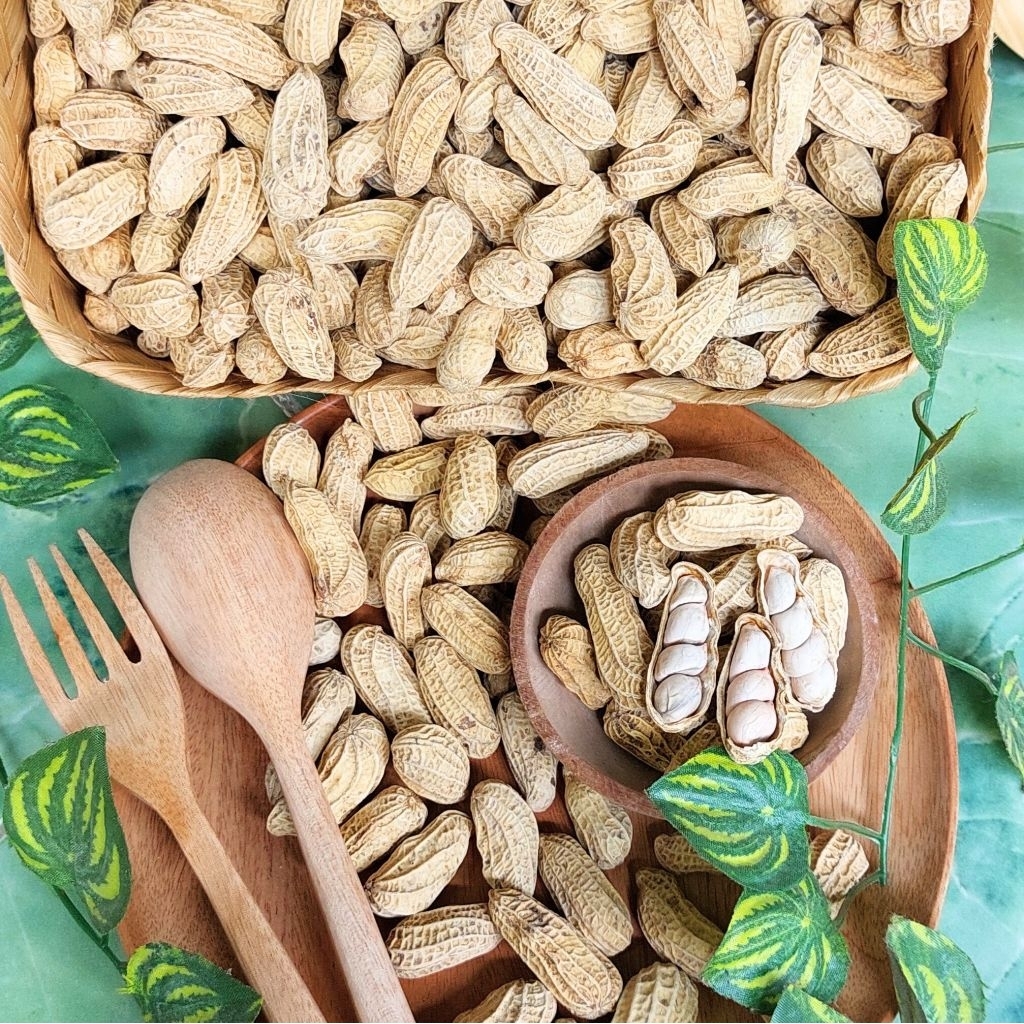 

Kacang Asin Oven - Renyah, Gurih, Tanpa Minyak, Lebih Sehat.