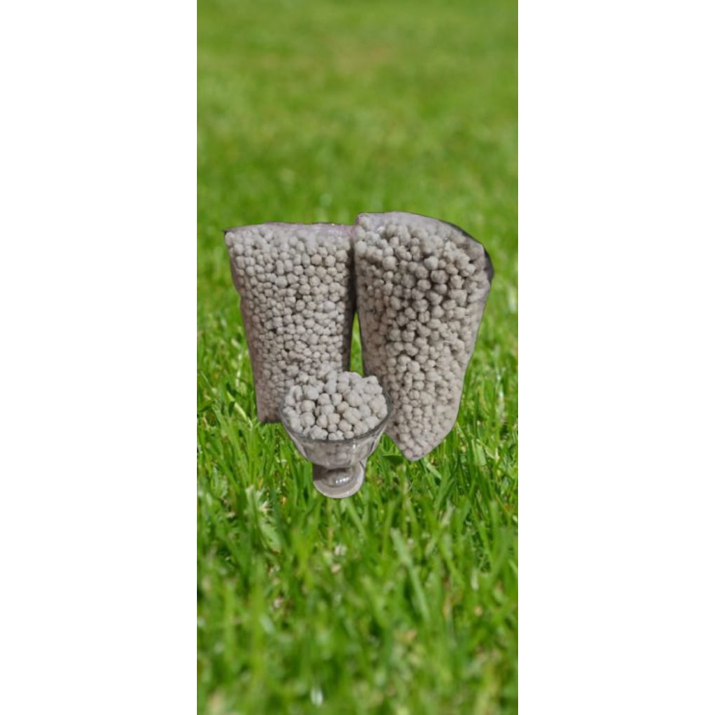 

Pilus kencur/Tiktak cikur kemasan 1kg