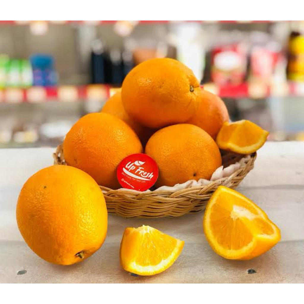 

bibit jeruk sunkist navel kondisi sudah berbuah