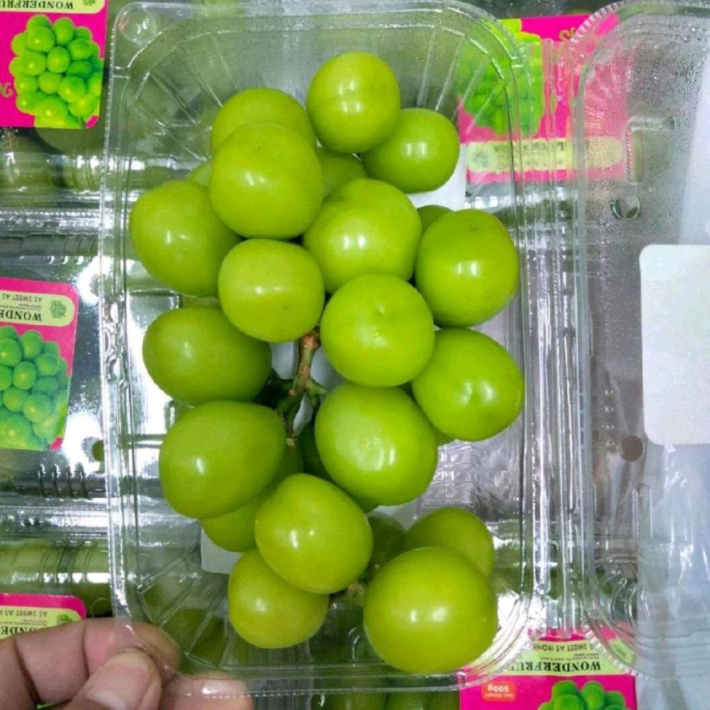 

Buah anggur shine Muscat jumbo manis super pack 500 gram