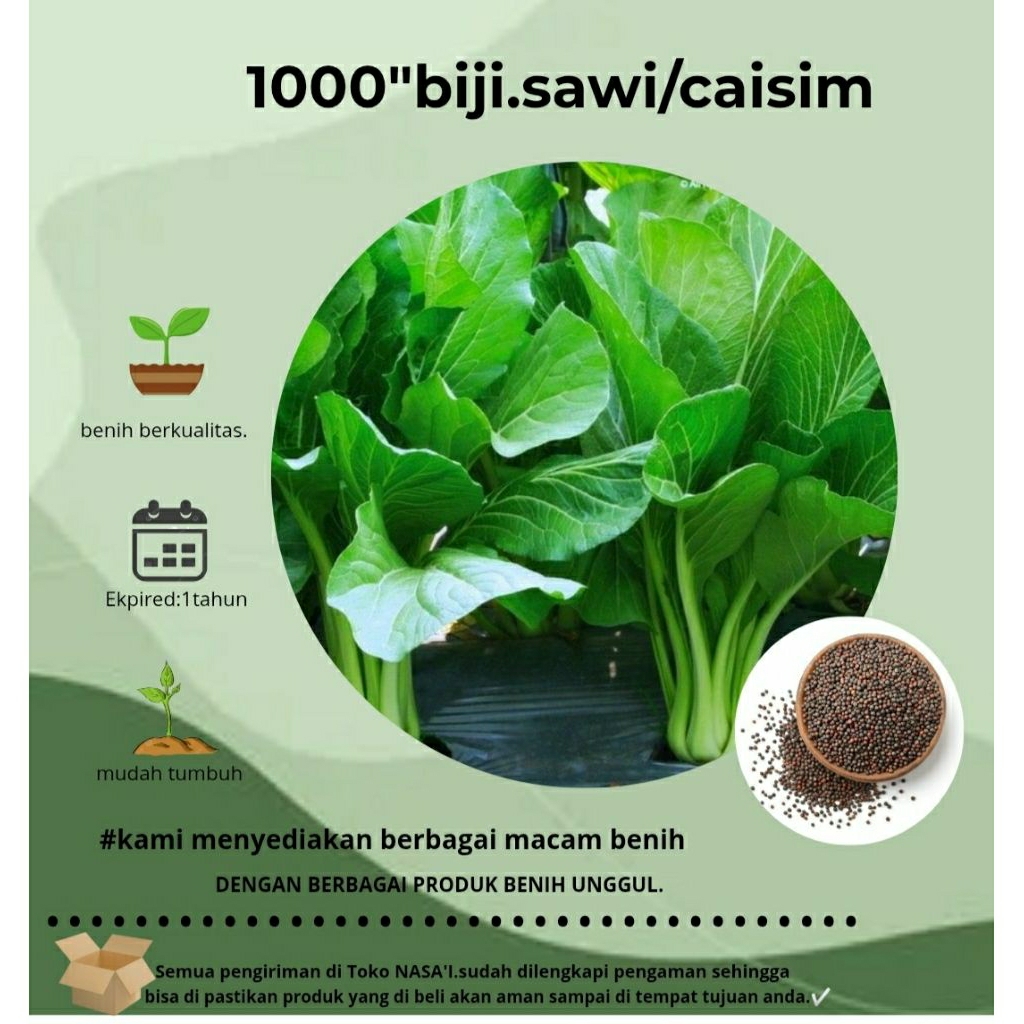 

1000>:biji sawi caisim.