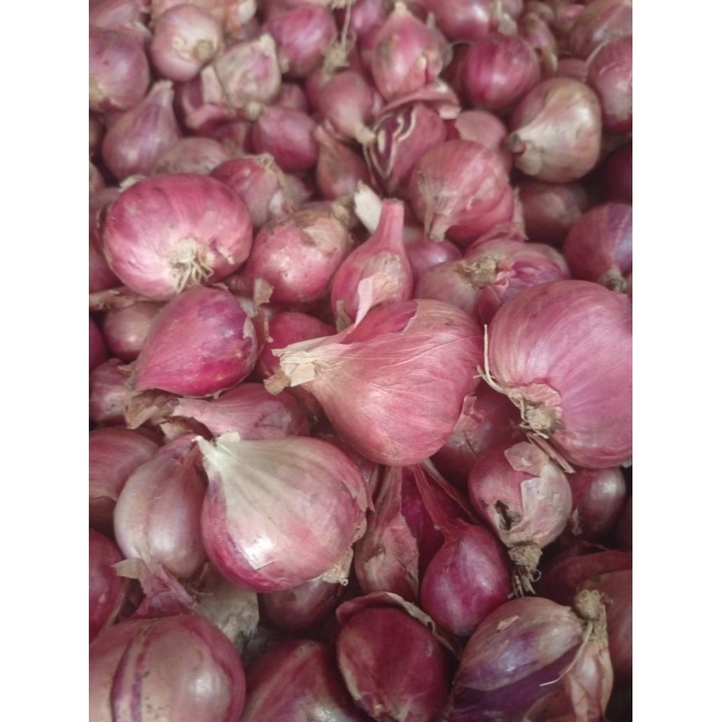 bawang merah lokal 1kg