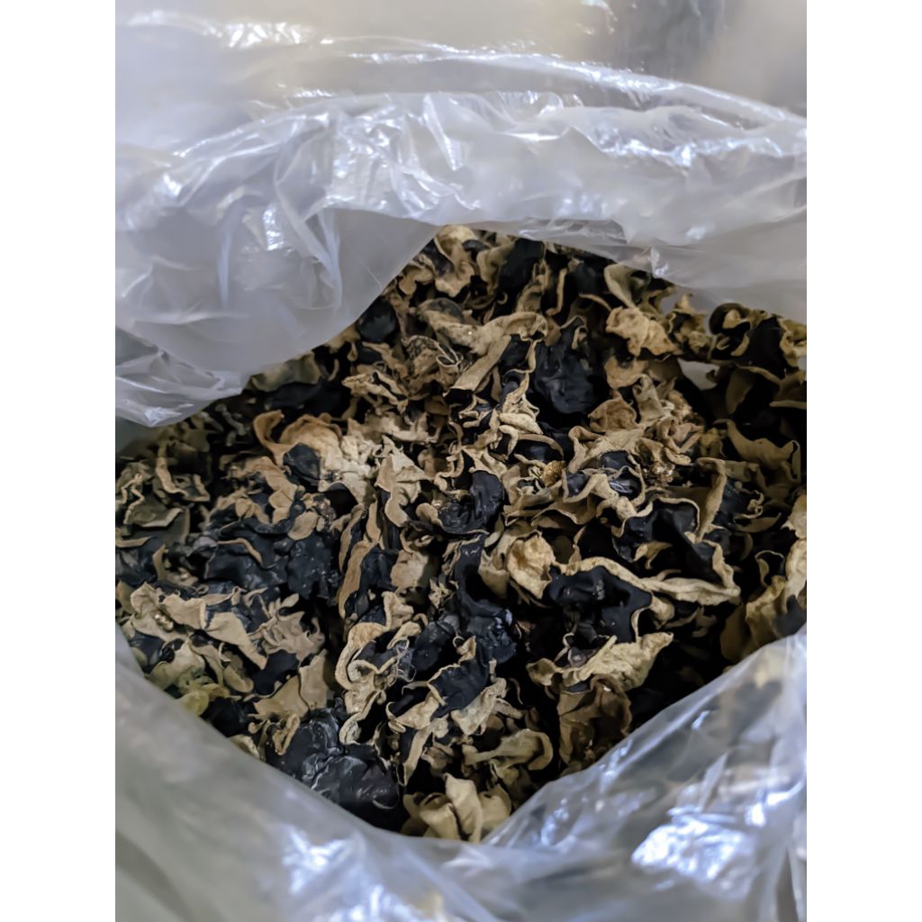 

jamur kuping kering 1kg grade food mix sortir murah