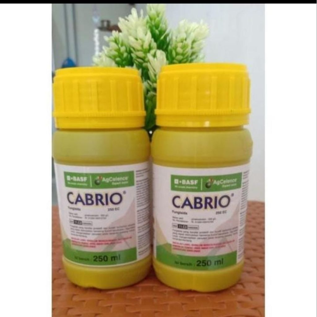 CABRIO 250EC 250ml