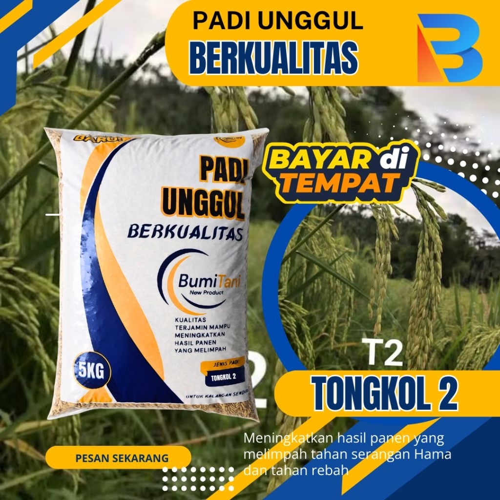 Benih padi Tongkol 2 Kemasan 5 kg kualitas unggul
