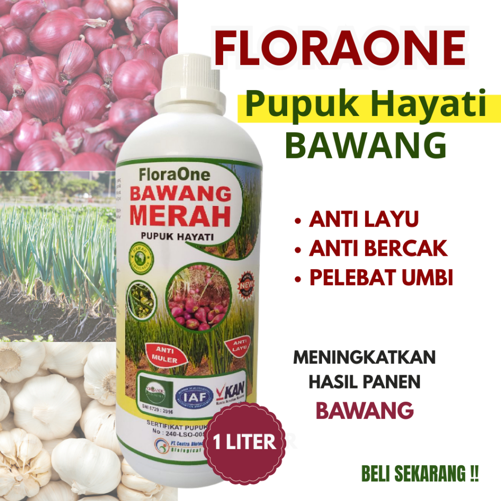 FloraOne Pupuk Hayati Cair Pupuk Daun Bawang Pelebat Umbi Bawang Merah, Pupuk bawang daun yang bagus