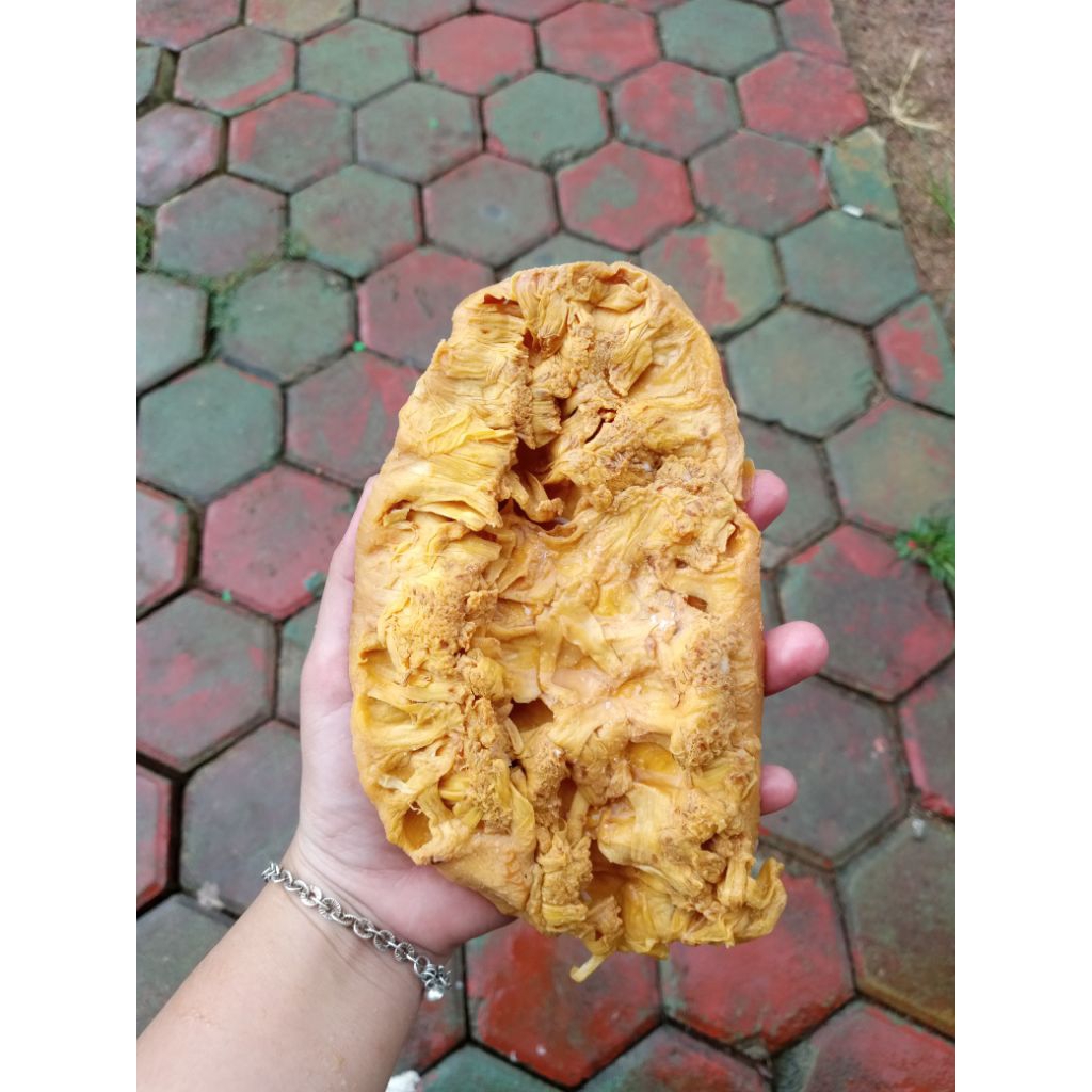 

MANDAI / KULIT CEMPEDAK ASLI BATU MANDI (TIDAK BAU DAN TIDAK ASIN)