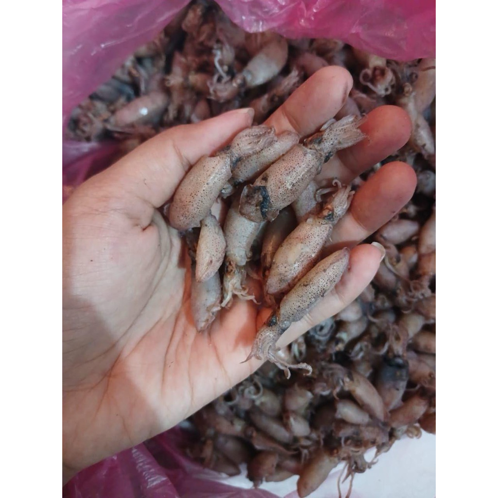 

ready stok cumi asin asli nelayan cumi ukuran 3cm