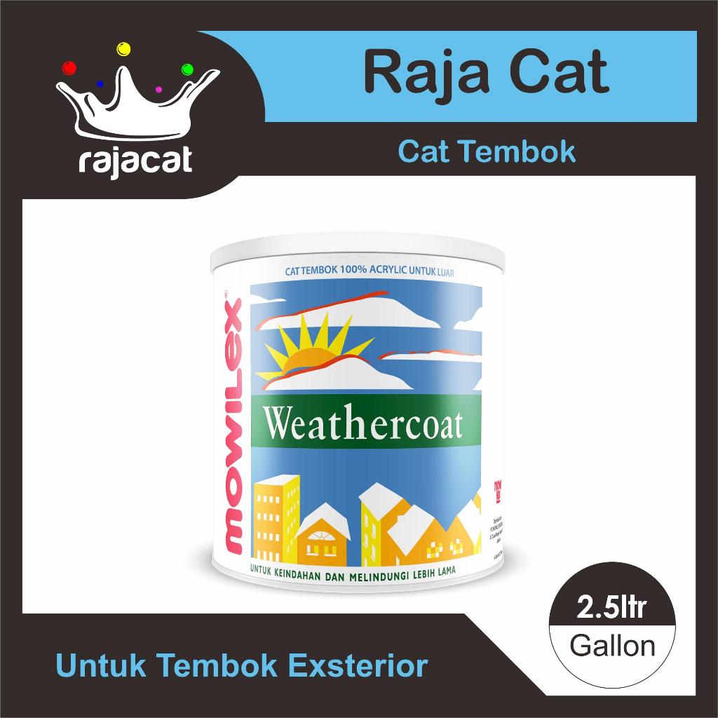 cat MOWILEX WEATHERCOAT 2.5 LTR