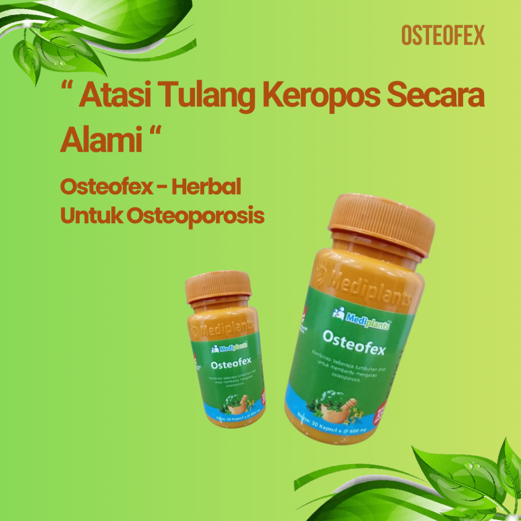 Osteofex | Obat Herbal Tulang Keropos Osteoporosis | Penguat Tulang Alami