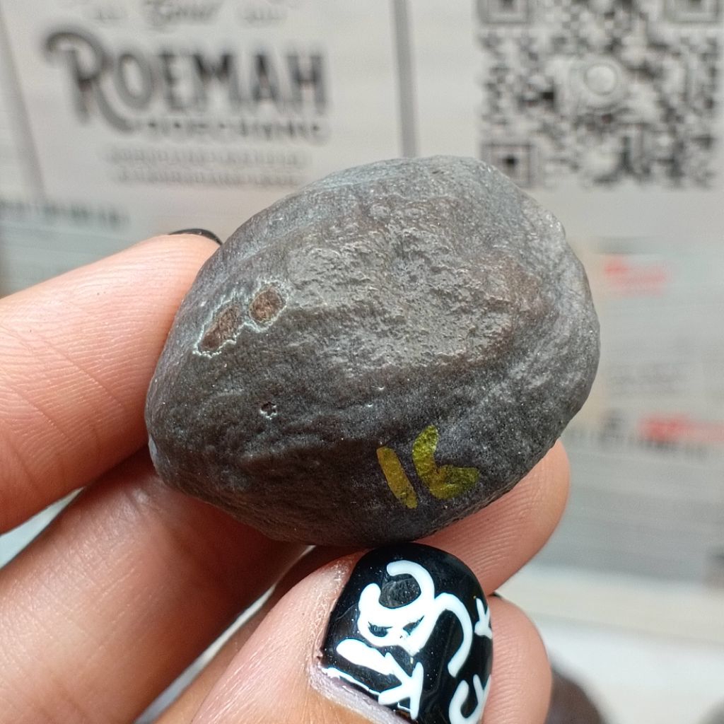 Muncang Adu Anak 4G kode 16