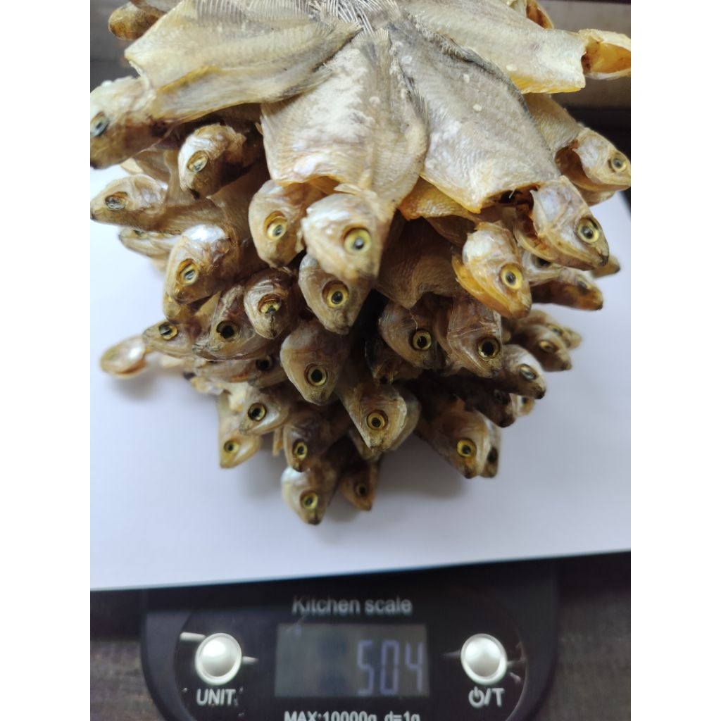 IKAN ASIN SEPAT KIPAS KHAS NAGARA KALIMANTAN SELATAN