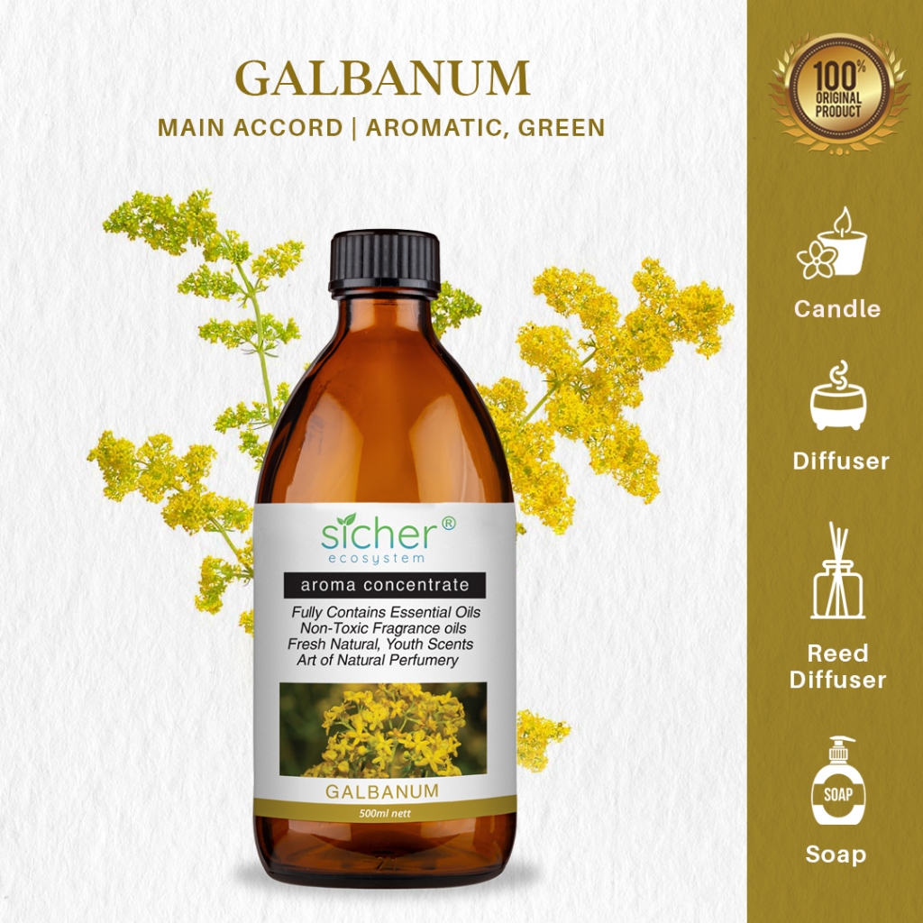 Sicher Fragrance Oil Galbanum 500ml