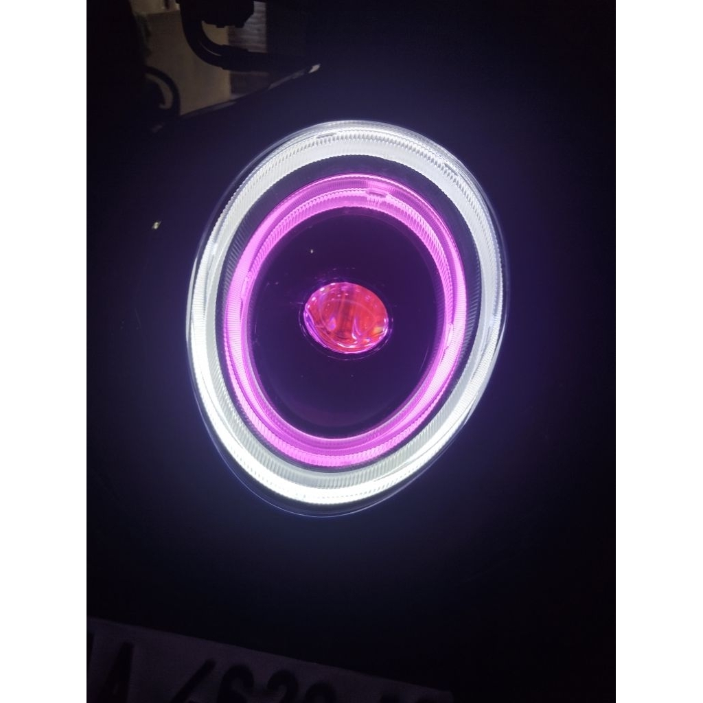biled ayoto