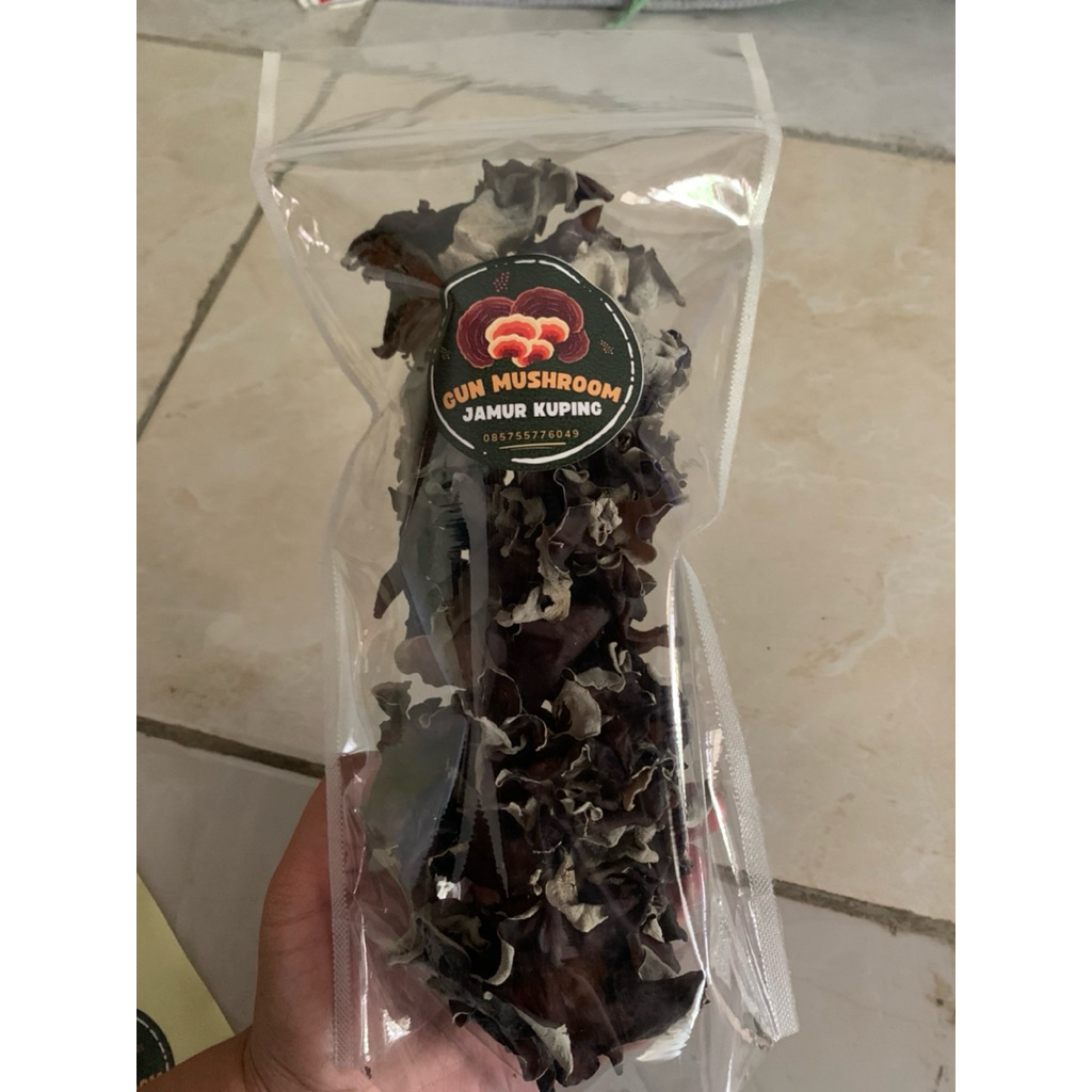 

jamur kuping