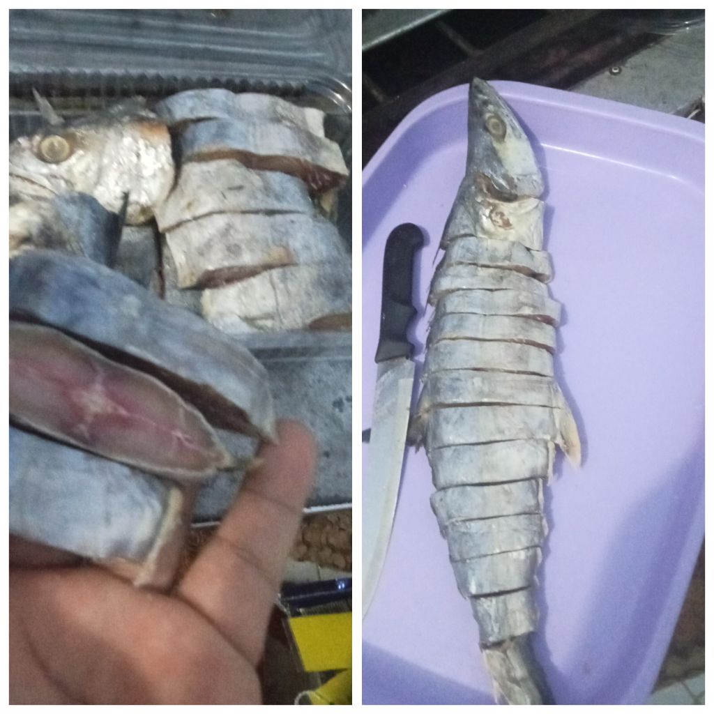 ikan, asin, tenggiri