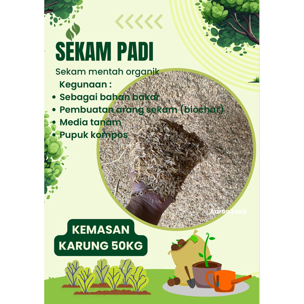 Sekam padi mentah kemasan karung 50kg