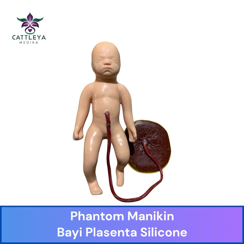 Phantom Manikin Bayi Plasenta Silicone / Manekin Bayi Plasenta Baru Lahir Silikon
