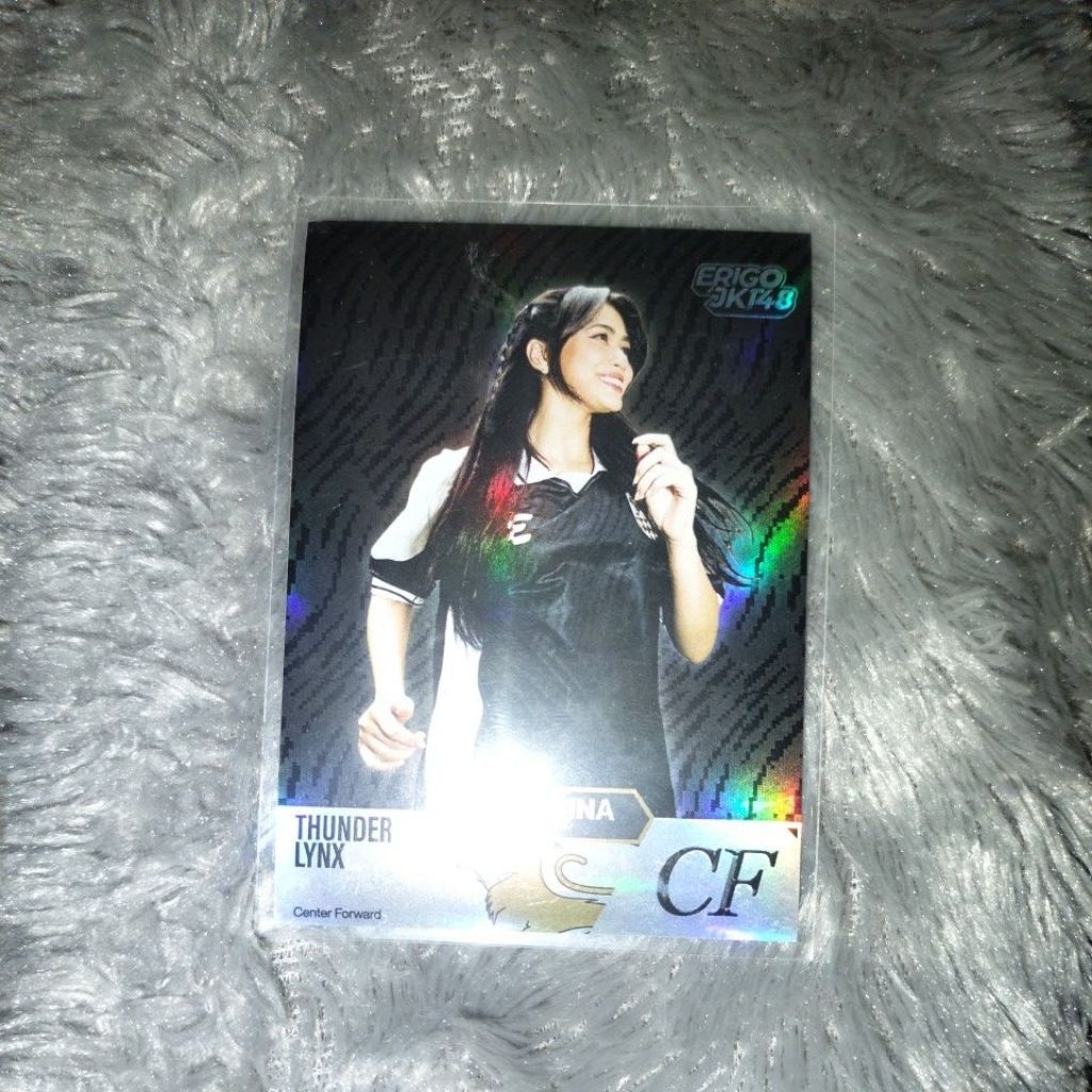 panini erigo×jkt48