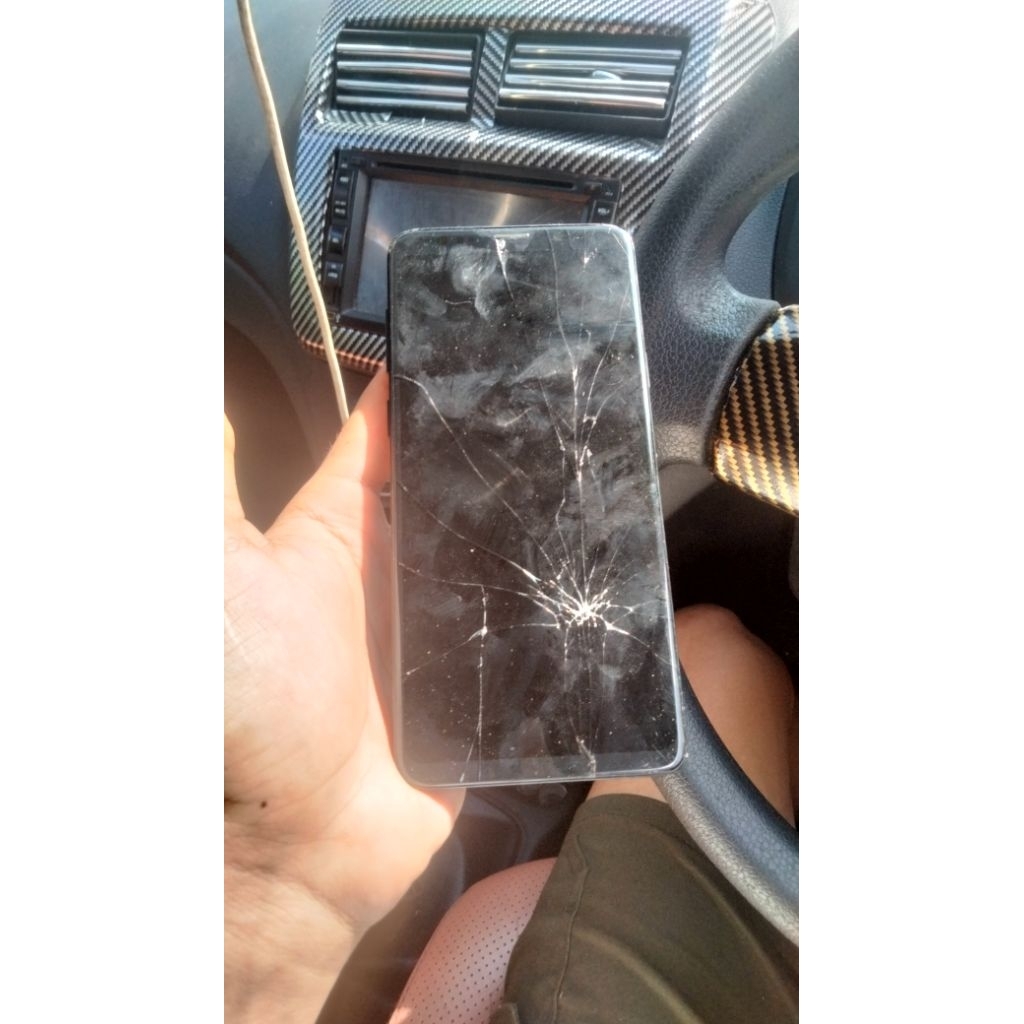 Samsung S9 Plus Minus LCD