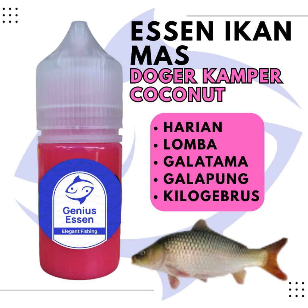ESSEN IKAN MAS AROMA DOGER KAMPER COCONUT essen ikan mas harian essen ikan mas lomba essen ikan mas 