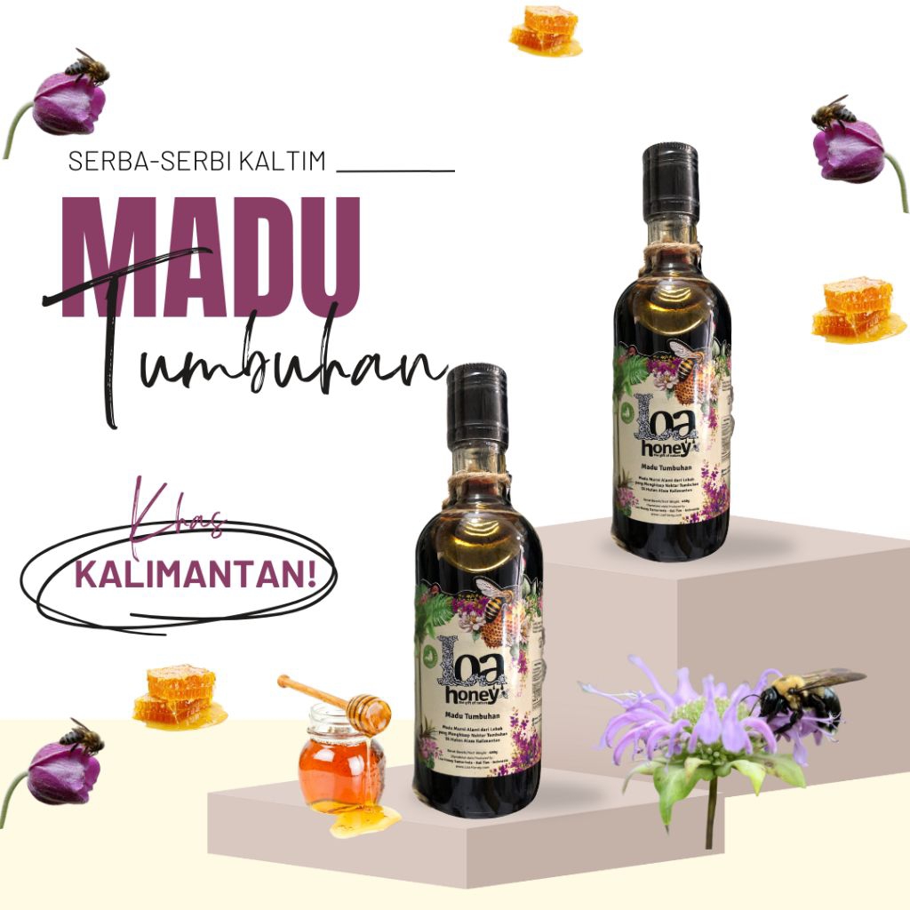 

Madu Tumbuhan Khas Kalimantan Timur – Loa Honey