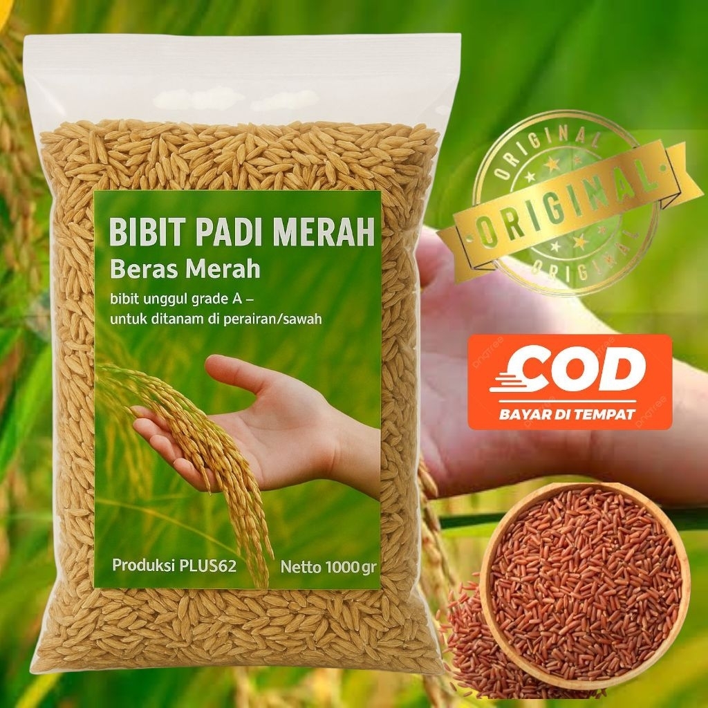 Bibit Padi Beras Merah lokal - Benih Unggul Perairan/Sawah 1000 Grm