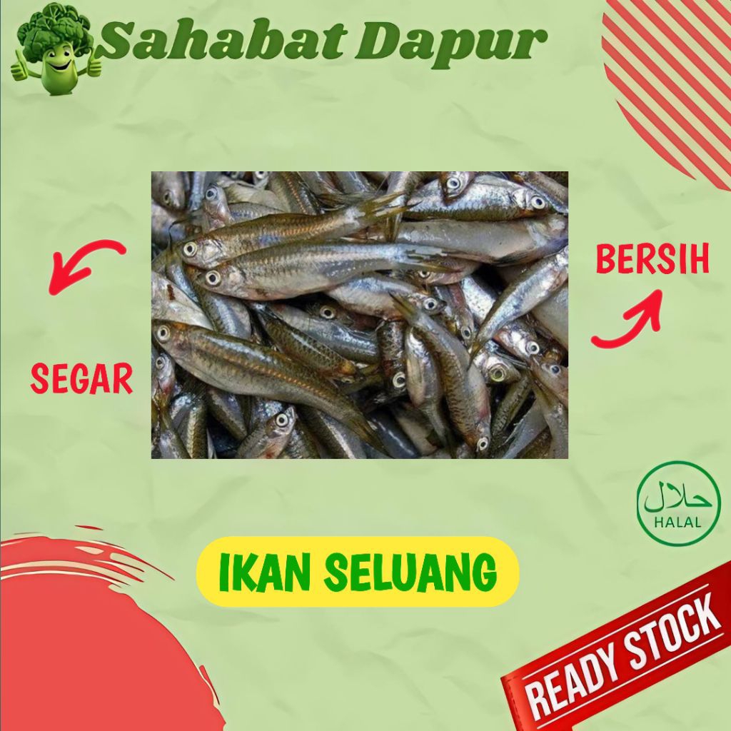 

Ikan Seluang - Ikan Segar Palembang