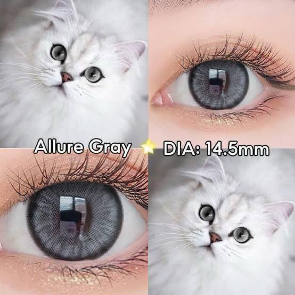 Soflen Magister Allure Grey 14.5mm Minus