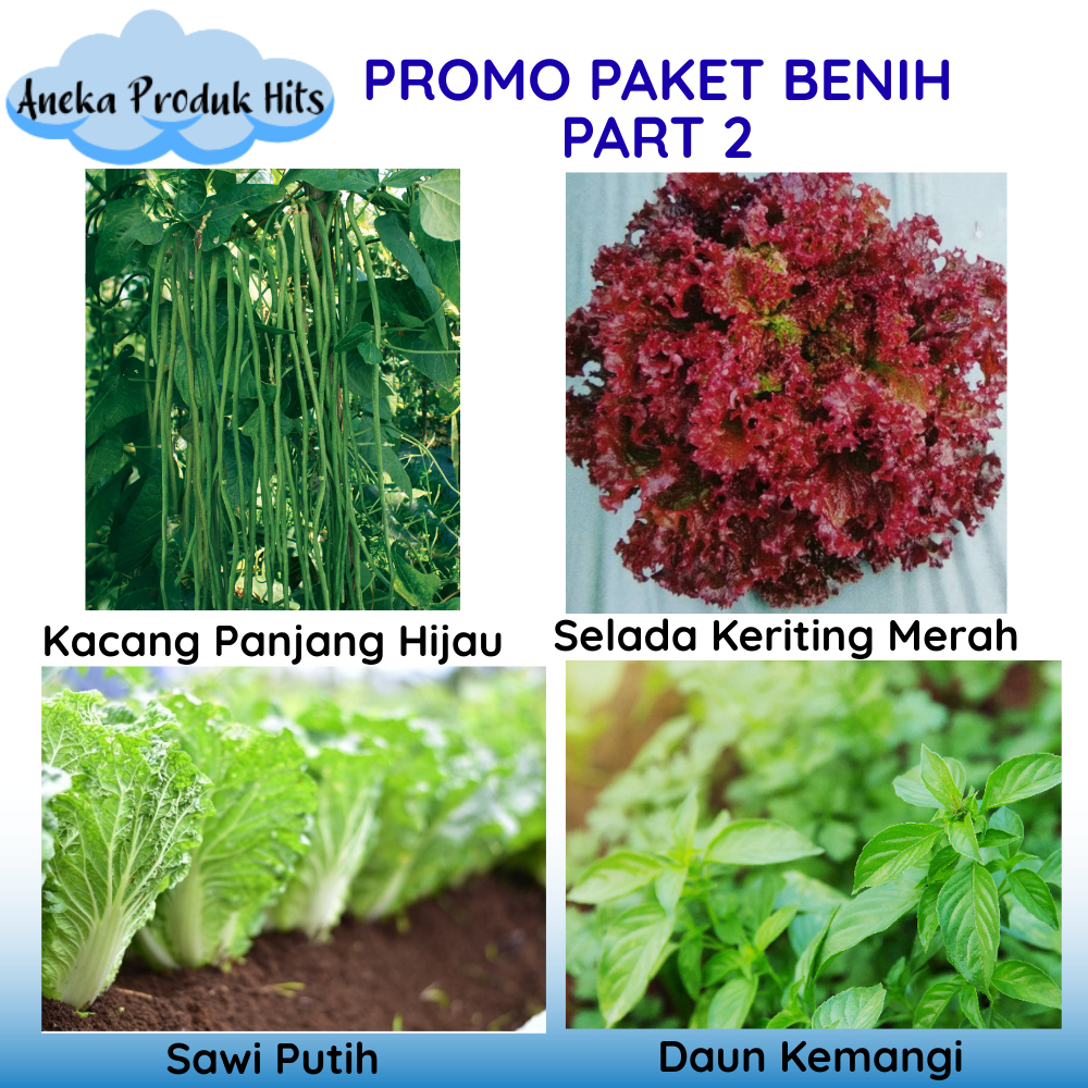 PROMO Paket Benih Part 2 (Sawi Putih, Daun Kemangi, Kacang Panjang Hijau, dan Selada Keriting Merah)