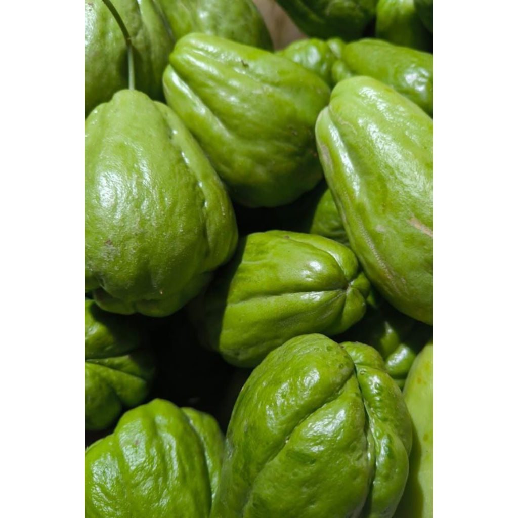 

Labu siam segar 1kg | sayur praktis masakan rumahan