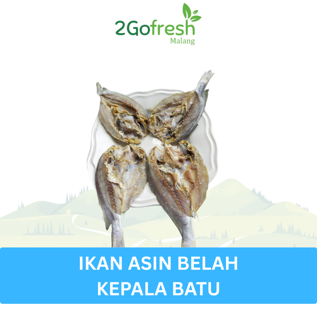 

Ikan Asin Belah Kepala Batu / Ikan Asin HL - 2gofresh