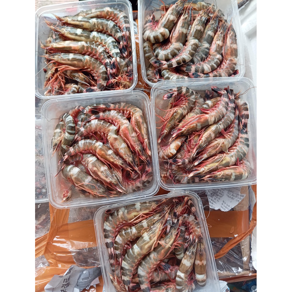 

udang windu 1kg
